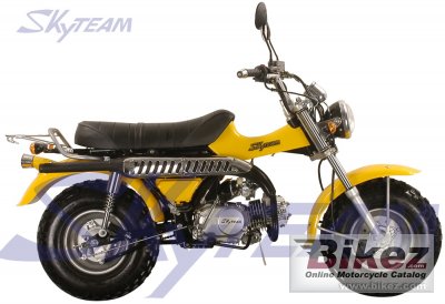 2009 Skyteam ST125-11 photo